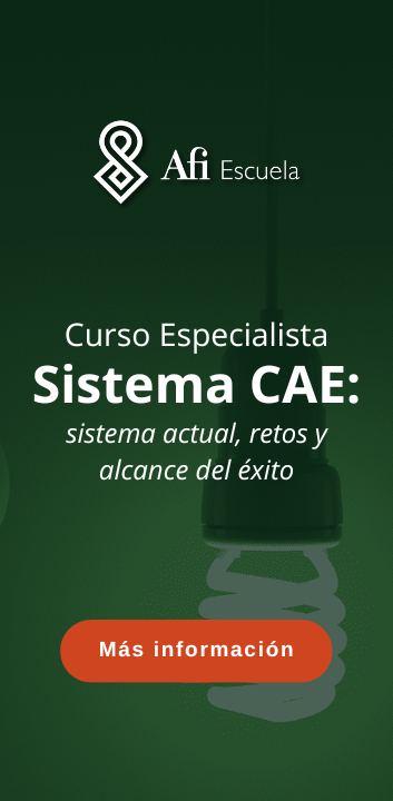 Sistema CAE